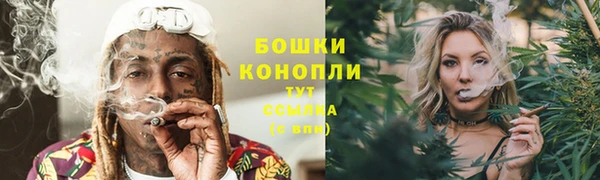 PSILOCYBIN Вязьма