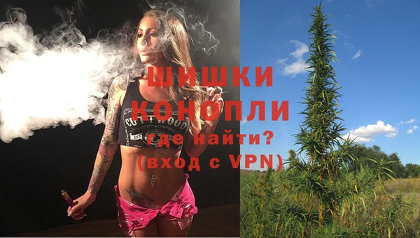 PSILOCYBIN Вязьма