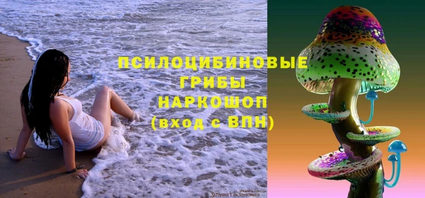 PSILOCYBIN Вязьма