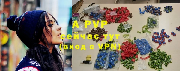 МДПВ Вяземский