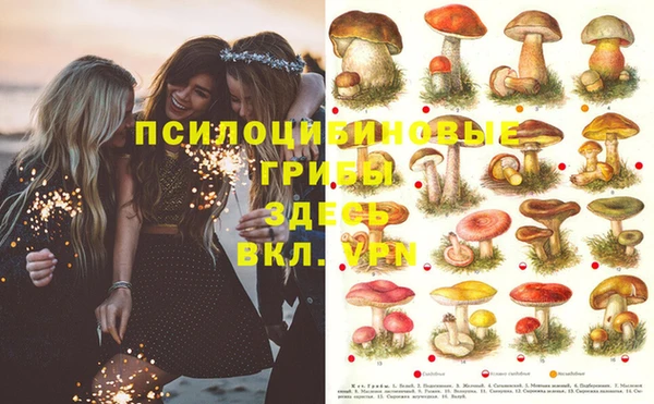 PSILOCYBIN Вязьма